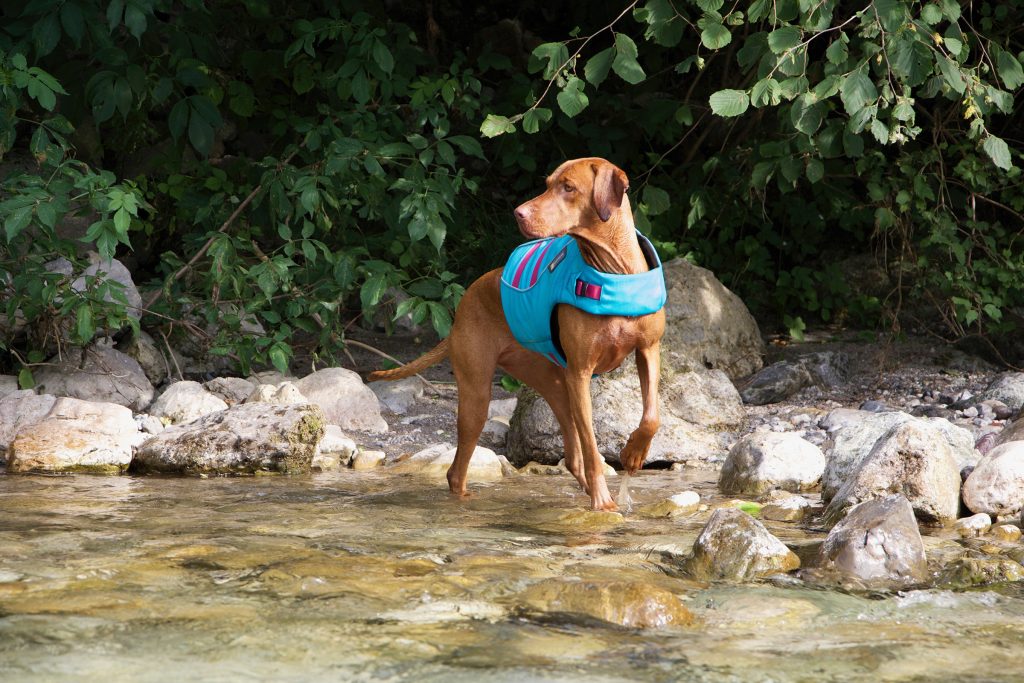 water safety image